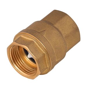 4" DİK ÇEKVALF